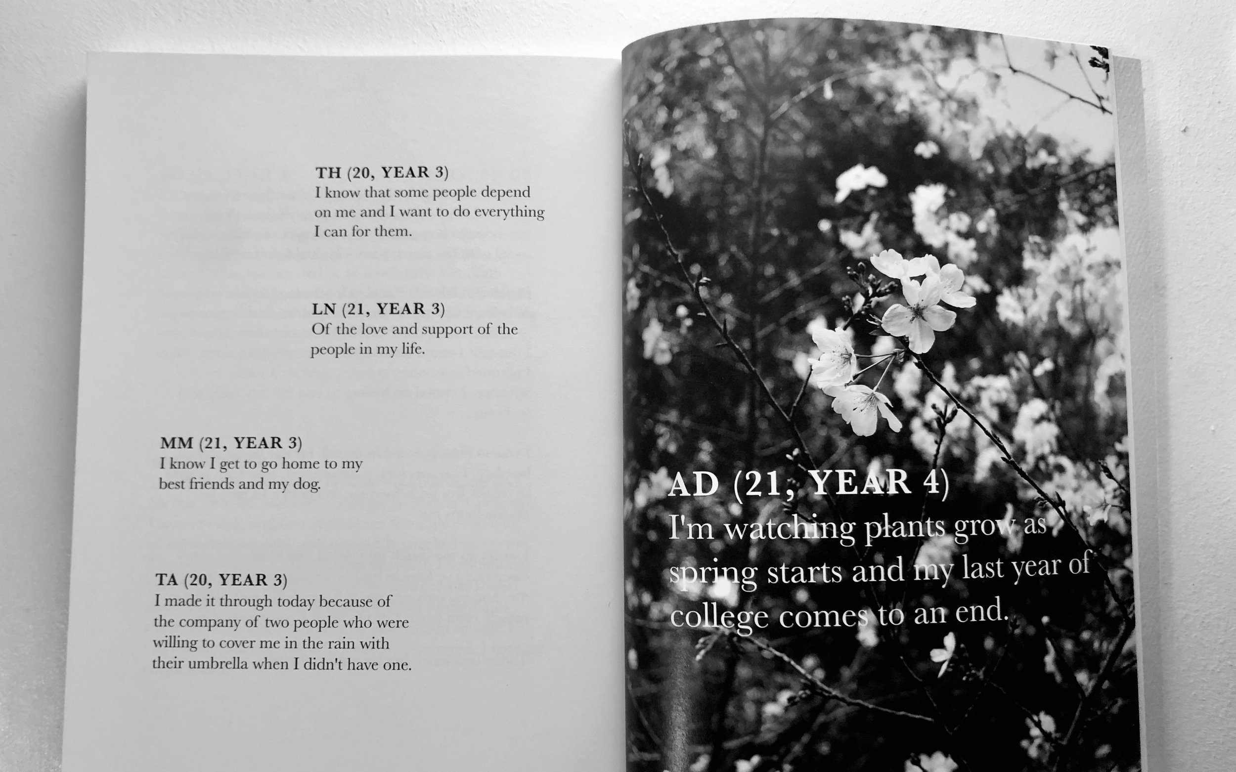 Alay anthology cover
